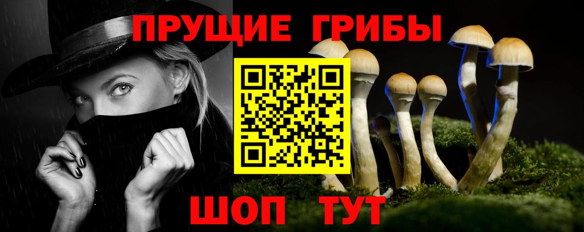 Псилоцибиновые грибы Psilocybe Вышний Волочёк