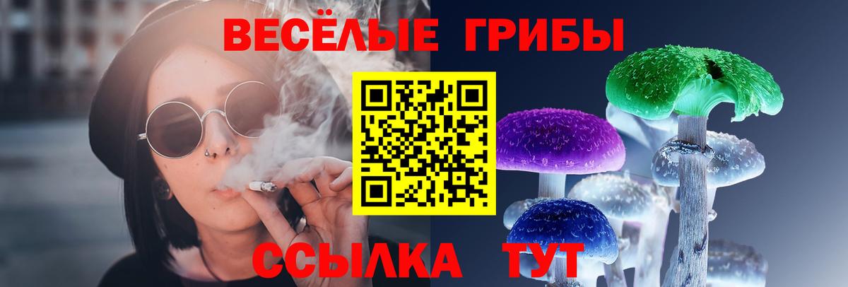 Галлюциногенные грибы мухоморы  Вход с VPN  Вышний Волочёк  Псилоцибиновые грибы MAGIC MUSHROOMS 